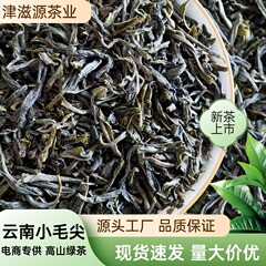 2025新茶散装云南小毛尖口粮茶首选奶茶原料茶