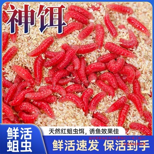 �r��t���x���D�t�x�~�D����Ұ��a�~�D��Ϫ���R�ڱ��o�D�t���x