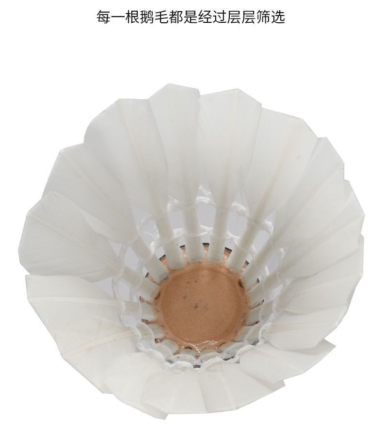 4c33c93a-bbe3-43ef-bddb-73f98dde1c8d.jpe