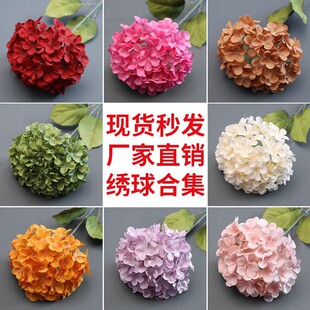 ���򻨻�c�û����潑�򻨾Ƶ껨ˇ���T�b�·�����ٻ����滨ˇ