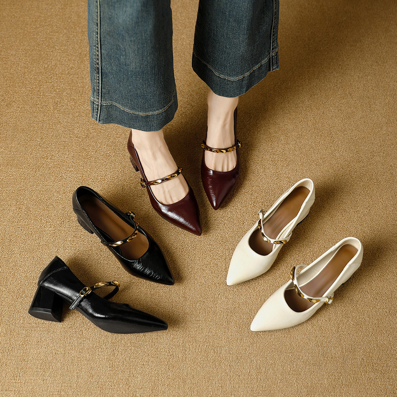 Hot-Selling Exquisite Pointed-Toe High Heels for Women 2026, Perfect for Pairing with Dresses, Comfortable and Versatile Block Heel Shoes with a Stylish Touch