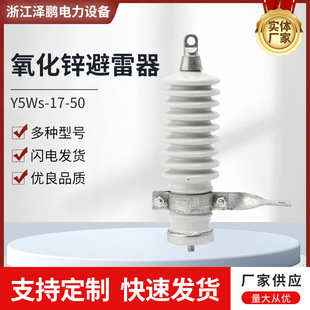 Y5Ws-17-50 Outdoor Ceramic Composite Surge Arrester Insulation 10Kv Zinc Oxide Arrester High Weather Resistance