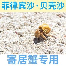 天然鱼缸底砂菲律宾沙贝壳珊瑚砂海沙海缸造景装饰三湖慈鲷寄居蟹