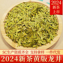 黄版龙井2024新茶杭州明前龙井茶叶散装绿茶批发浓豆香耐泡型500g