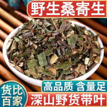 正品野生桑寄生新货中药材500g正宗桑树桑寄生桑上寄生茶槲寄生粉