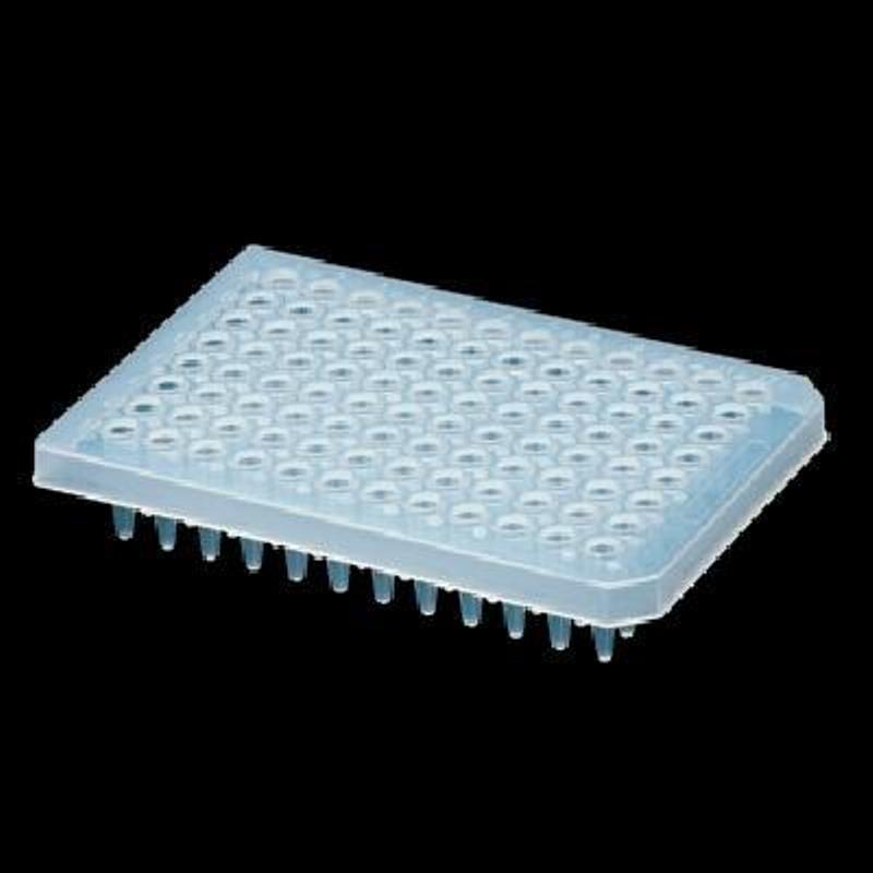 Axygen 爱思进  PCR-384M2-C  384孔聚丙烯PCR微孔板