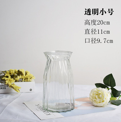 北欧创意透明玻璃花瓶水培绿萝植物干花鲜花插花瓶客厅装饰摆件|undefined