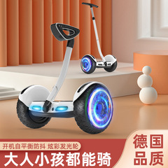 スマート電動脚制御自平衡車成人児童が手動制御バランス車を持っています。