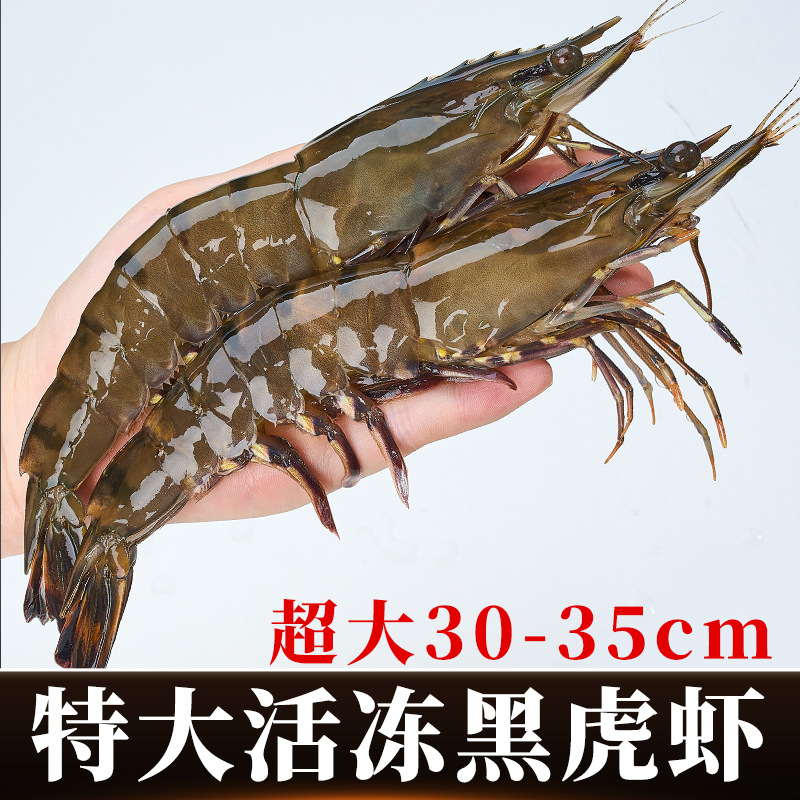 超大黑虎虾16-20活冻大虾生鲜火锅泰国黑虎虾肉弹甜大虾水产源头