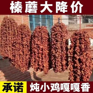 С�u��؛Ģ���l؛Ģ�����؟����|���Ģ�㹽���lҰ���Ģ������؛