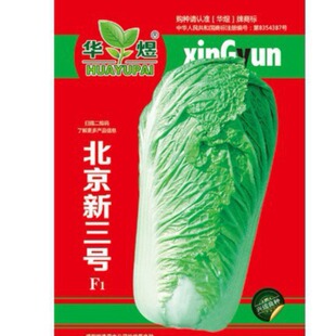 ������Ʒ��̖�ײ˷N�� �r��ˈ@�߲��s�����^��þo��ײ���