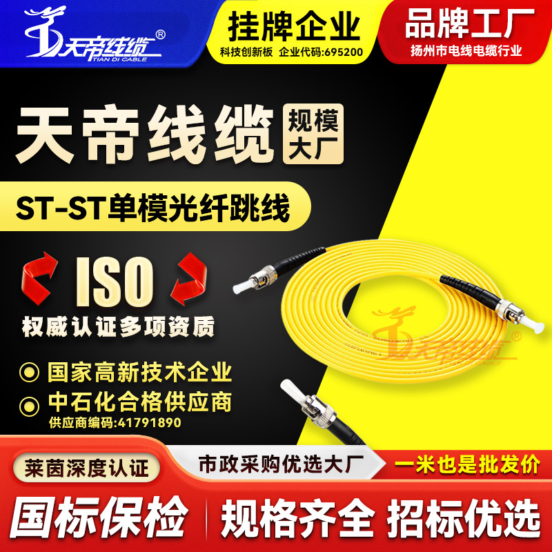 天帝 ST-ST单模光纤跳线尾纤低损耗电信网络级入户光纤工程布线用