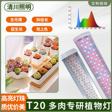 ֲ���a�����ȫ���VT20���⌣����ɫ���ܟ�ֲ�������L����ɫ����