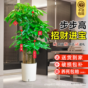 �����߰lؔ���������҃ȾGֲ�k�����_�I�ͶY���U��ؔ������辰