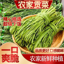 新货贡菜新鲜苔干脱水蔬菜干货火锅批发串串各种干菜大全
