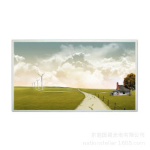 43 Ӣ�绪�ǹ�� LD430EQE-FPA1 ������� 700nit Һ��ģ��