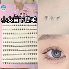 小颜植小火苗10排大书下睫毛自然仿真推荐女新手单簇分段妈生感