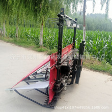 ���C���N��������֥���ո�C�����в�ș���C��݆܇ǰ���ո�C