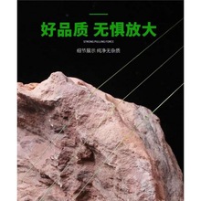 �~��ԭ�z100�������Ӿ�������̨�·�����͒���������~��������