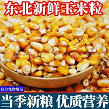 ���|������������ι�u�����ӼZ��~ᄾ��¼Z�����������ӼZ