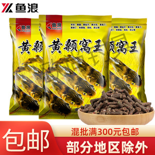 �~�� �SC�� 500g ���� �S���� ��C�w���C���~�D