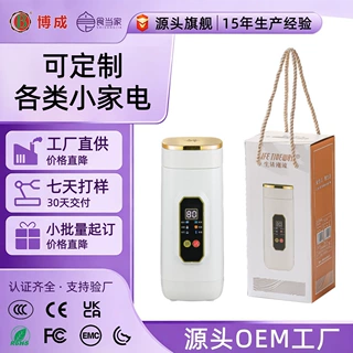便携式电加热水杯礼品定制LOGO多功能电炖烧水杯旅行加热保温杯