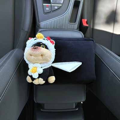 Armrest Box Tissue Box Female: Car tissue box/set