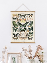 新款简约复古美式田园风格背景墙家居装饰蝴蝶植物沙发背景挂画