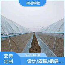 �߲˷Nֲ����Ǽ�  ���ϴ���Ǽ� �E�A�ܴ���Ǽ� 6����\��