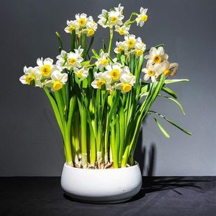 ˮ�ɻ��N�����l����ˮ�ɻ���ˮ�B�ļ��҃Ȼ�����ֲ���ײ��ͺ��̓�