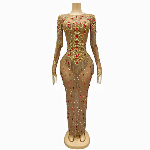 Amazon Performance Clothing Mesh Slightly See-through Luxury Evening Clothing Birthday Party Dance Performance Clothing Talent Singer
