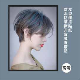 彩染发型卷发烫发型图片美发店海报男女发型理发流行时不干胶贴纸