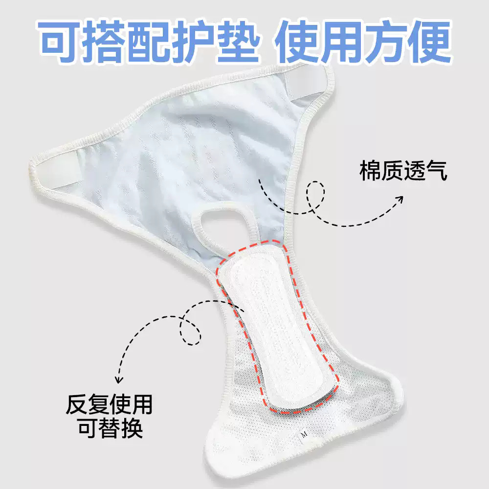 Pantalones para perros, tía perra, almohadillas de cuidado menstrual, toallas sanitarias, pantalones estro para mascotas, pantalones de seguridad anti-acoso de peluche image 3