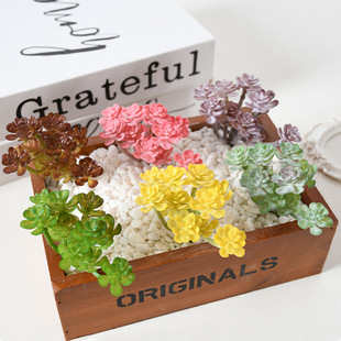 �������ֲ�q11�^���˿�DIY����С̖�����辰���Զ��⻨�^�Gֲ