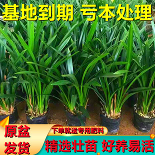 �m�������_���ļ��_���������m����ī�m�M���h���҃ȃ����՚����