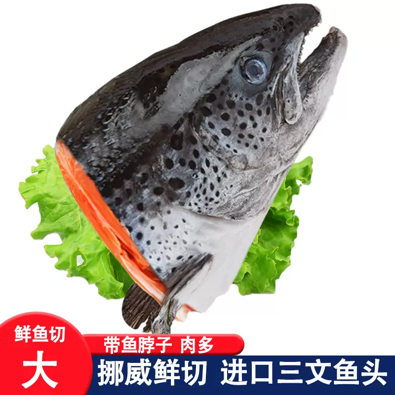 挪威三文鱼头新鲜冷冻超大深海鱼头三文鱼边角料人吃烧烤煲汤海鲜
