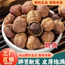 砂仁中药材500g正宗阳春砂仁官方旗舰店砂仁养胃正品中药香料特产