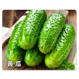 Немецкий байер серебристый кремовый кремордоргил фтора -фторид пирробиоплазма плесень плесень плесень