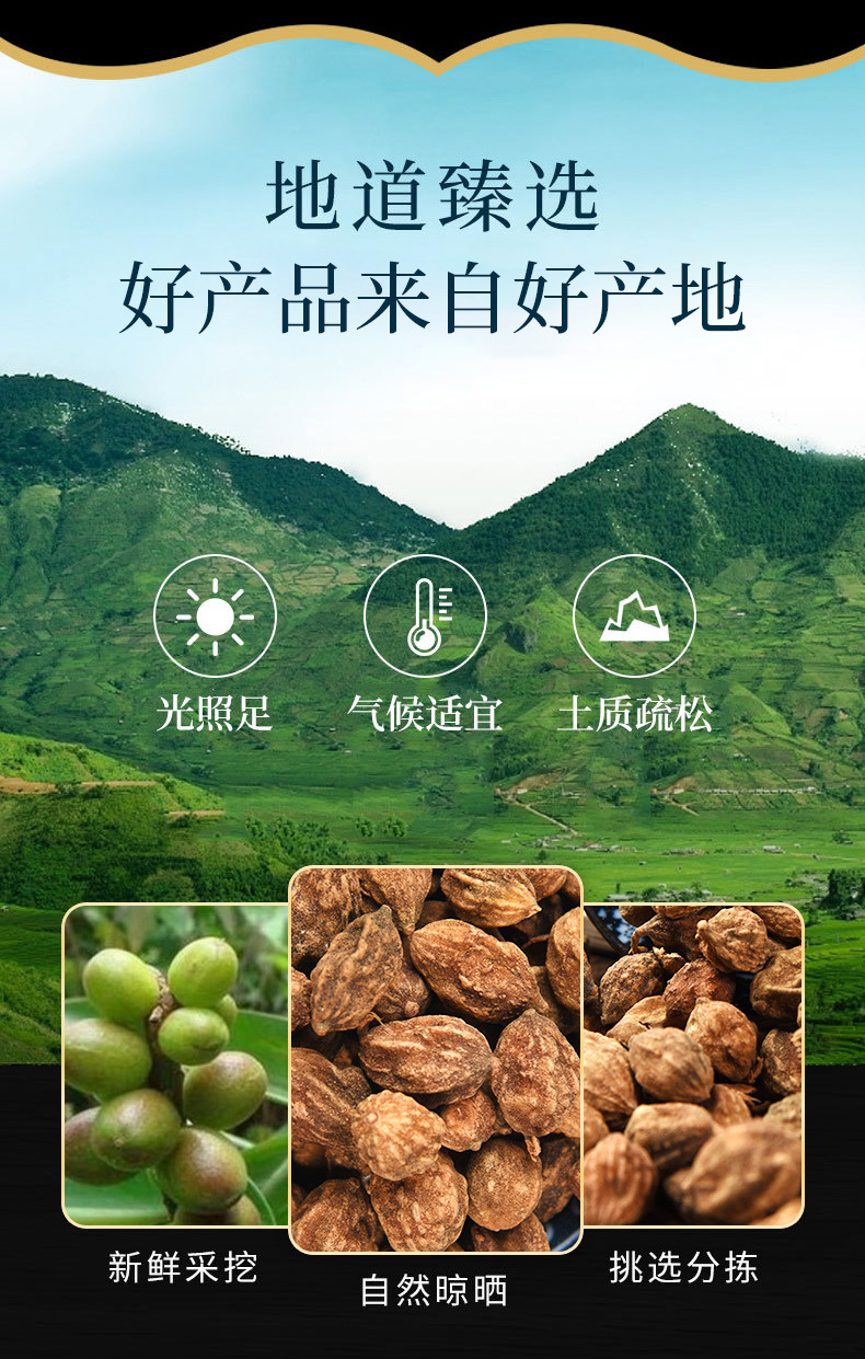 Yi Zhi Ren (Alpinia oxyphylla) — Dried Shelled Food-Herb Fruit for Tea, Soup & Spice overview