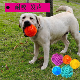 New pet interactive barbed ball dog outdoor toy grinding teeth bite resistant sound pet dog training toy ball wholesale