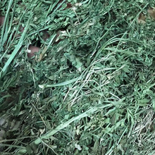 500������������ж� ܿ��ݸ��o�~�G���߳�����Ѭ��������