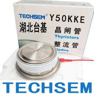 TECHSEM Y50KKE0T���پ��lKK1000A1600V KK1000A1800V̨���ɿع�