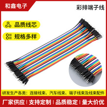 ���ž�40P�Ű10CM������ ����ĸ ĸ��ĸ���Ŷ��Ӿ�PH2.0�B�Ӿ�