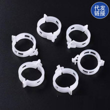 ֲ��̶��A���Ͻ����A���t���A�����A�����A�����̶�ֲ��֦�ɊA��