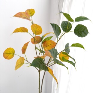 ���������~���w�ָм٘�֦�~�����~��ʽ��ϵ��ʽ�U���b�������~