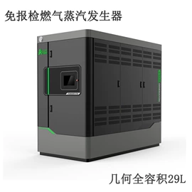 蒸汽发生器;特种锅炉;燃气锅炉