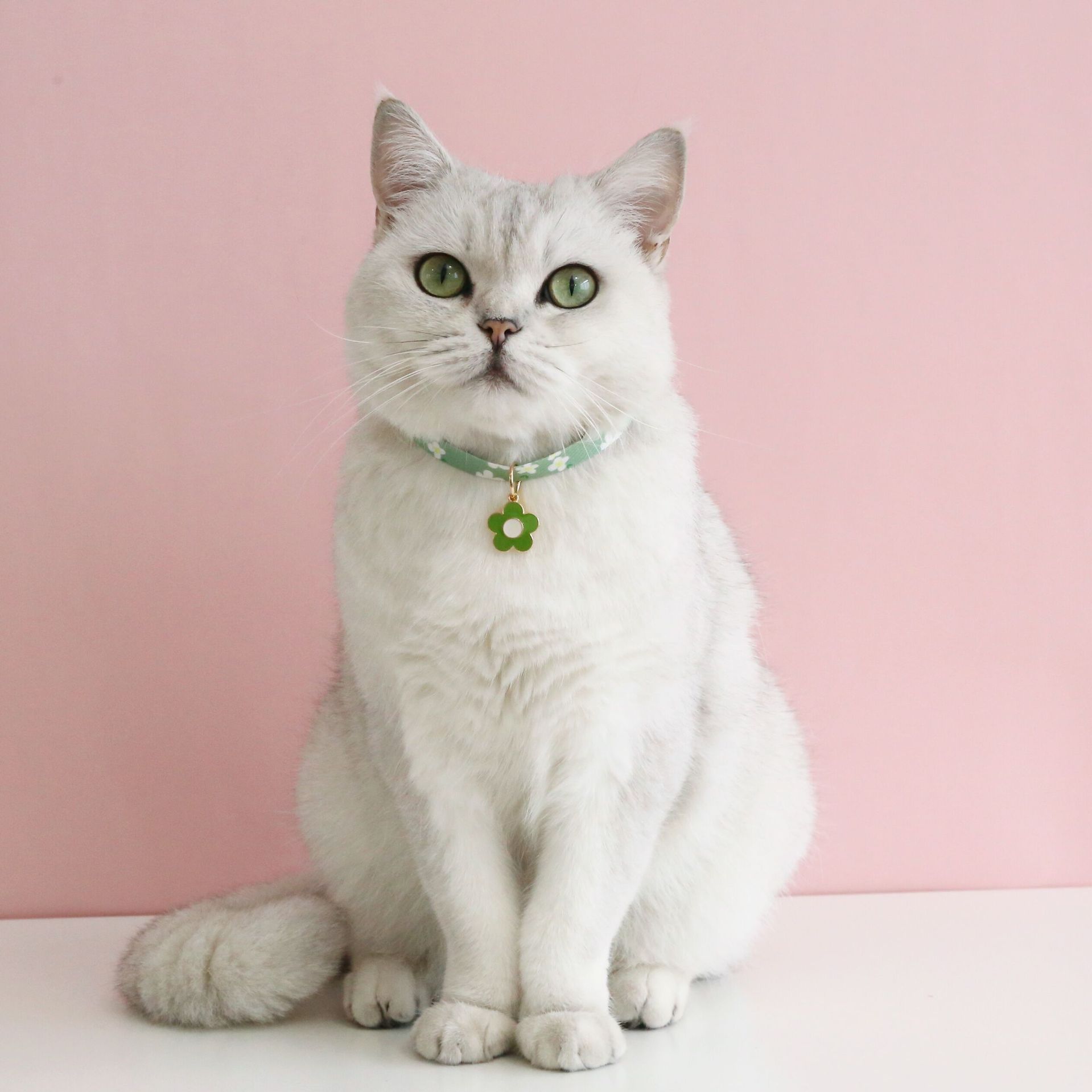 QQ图片20221009155836