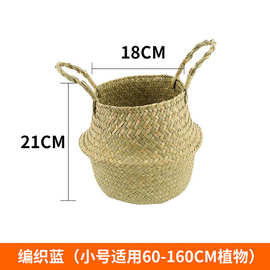 创意艺术圆菱形几何水泥花盆现代简约落地盆栽底座仿真植物装饰