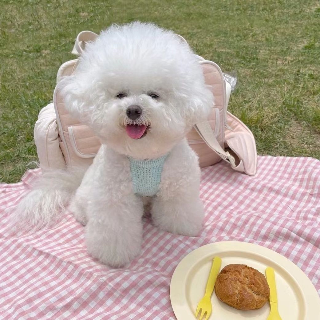Šnaucer Kućni ljubimac Malo štene Pomeranac Ljetna pletena naramenica Štene Tanka odjeća Teddy Bichon