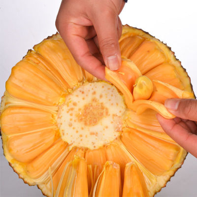 越南红肉菠萝蜜一整个发货红心波罗蜜8-10斤当季新鲜水果一件代发